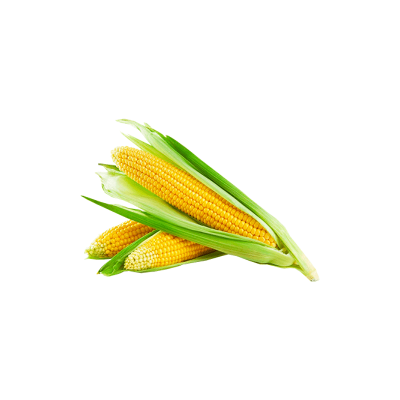 Product gallery 595